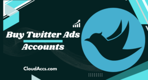 Buy Twitter Ads Accounts